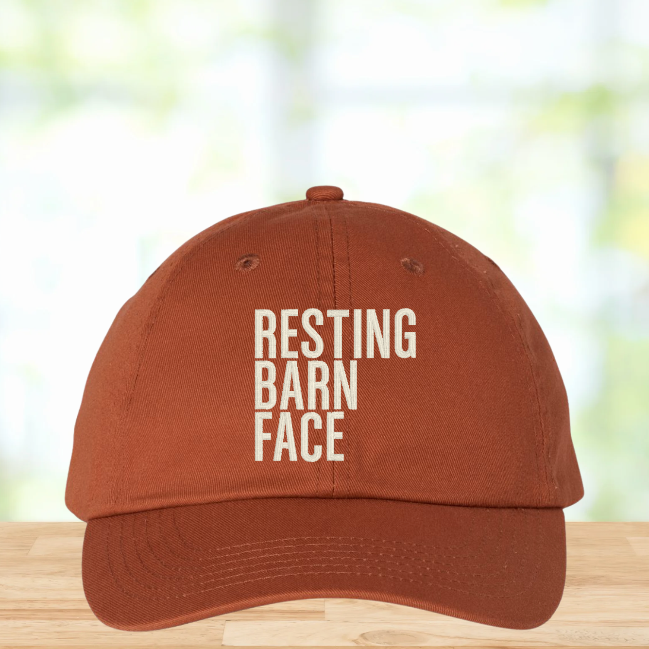 Resting Barn Face Hat