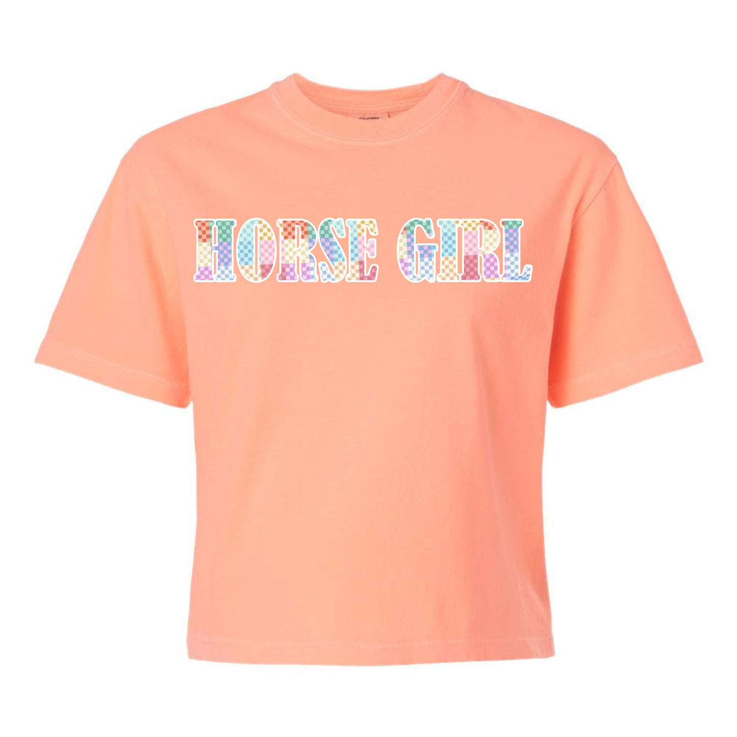 Embroidered Appliqué Comfort Colors® Tee - Cowgirl vs. Horse Girl vs. Equestrian