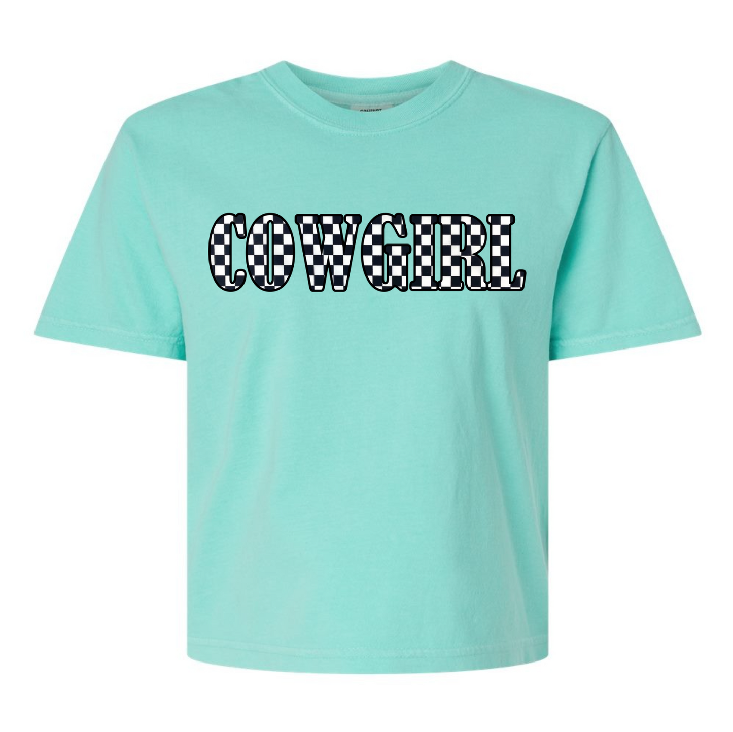 Embroidered Appliqué Comfort Colors® Tee - Cowgirl vs. Horse Girl vs. Equestrian